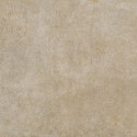 100016621-1.jpg