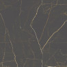 ARIS NEGRE 120X120 POLIT (M2) (M2)