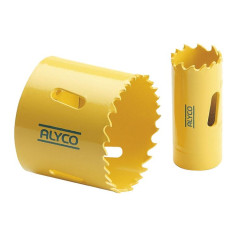 alyco_100035577.jpg