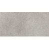 ZEUS GRIS (PRC) 30X60 /ARG06_SGRIS300000000000015080M312 (M2)