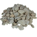 100022972.jpg