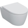 501.664.00.1-JOC ICON INOD.SPDO.PFO.FORMA CERR.RIMFREE ASTO.TP.DEL INOD.FIJ.DES DE DALT B-GEBERIT (UD)