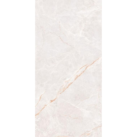 porcelanico_100052614-2.jpg
