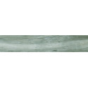 100000118-1.jpg
