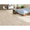 SANT VICENT PORCELÀNIC 60X120 BRILLANT (M2)