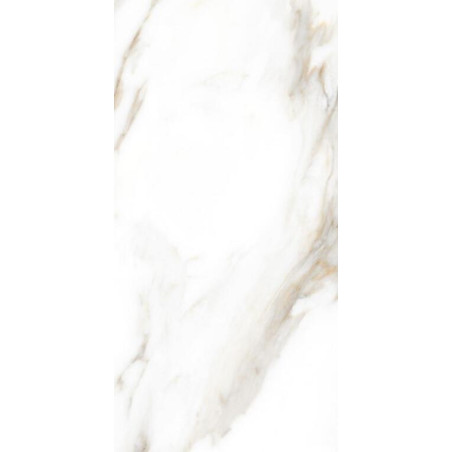 porcelanico_100052625-2.jpg