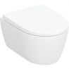 502.381.00.1-JGO.INOD.SPDO.FDO.PFO.ICON,CMPTE.FORMA CERR.RIMFREE,AST.TP.DEL INOD.49cm MEC-GEBERIT (UD)