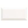 BLANC BRILLANT BISELLAT 10X20 (m2)