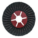 mussol_100031536.jpg