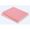 PLACA PPF (ROSA) 3000X1200X15 MM (UD)