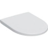 501.660.01.1-ASSEIENT TP.DEL INOD.ICON CAIGUDA AMORTIGUADA CDURA.FIJ.DES DE DALT BL-GEBERIT ()