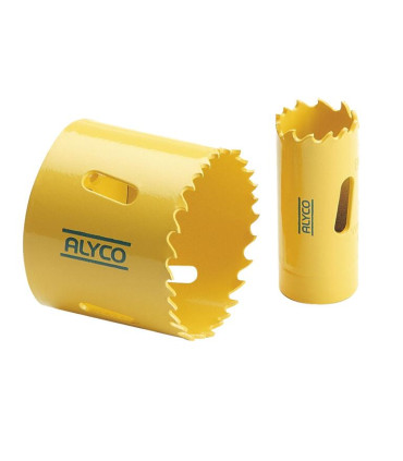 alyco_100043927.jpg