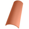 TEULA CELLER C-50.21 VERMELLA 250 UN/PALET ( 20 U/M2)*** (UD)