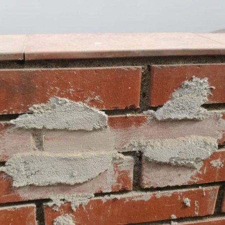 100041801.jpg