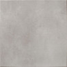 ZEUS GRIS 60X60 ANTILLISCANT (M2)