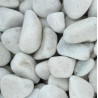 CODOL BLANCO PURO 40/60 SAC 20 KG (UD)