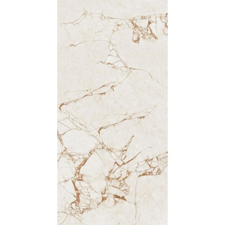 porcelanico_100052621-2.jpg