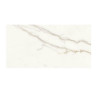 EVO BRILLANT 60X120 (M2) (M2)