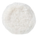 ehlis2_100050211.jpg
